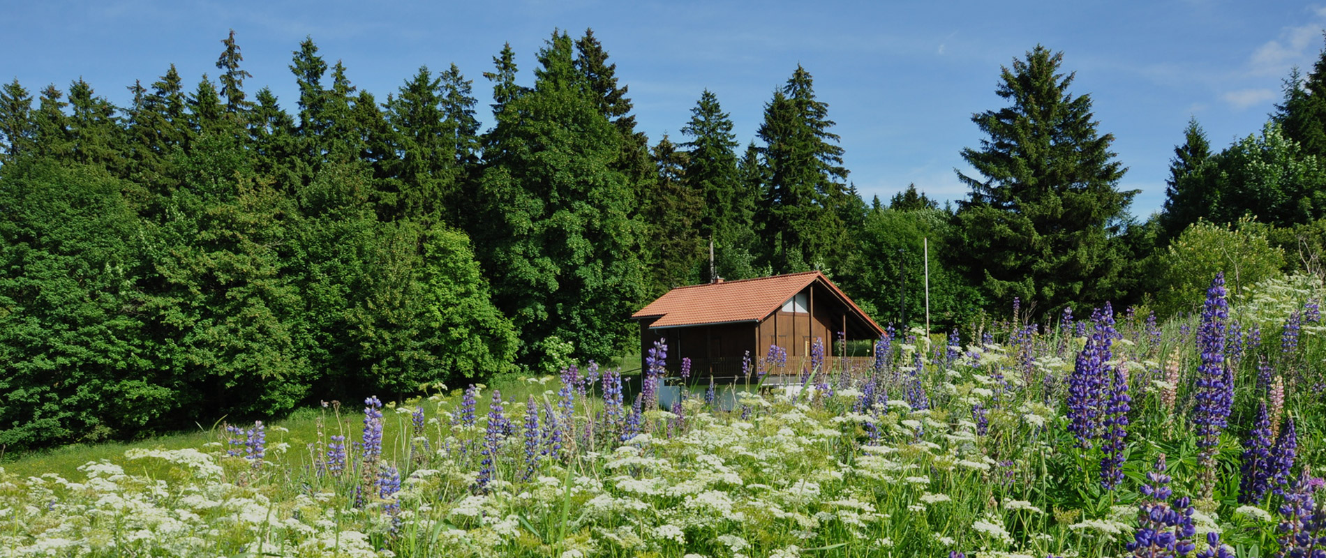 Boutique Hotel Schieferhof in Neuhaus am Rennsteig - Urlaub im Thüringer Wald - Erleben Sie abwechslungsreiche Tage im idyllischen - www.schieferhof.de