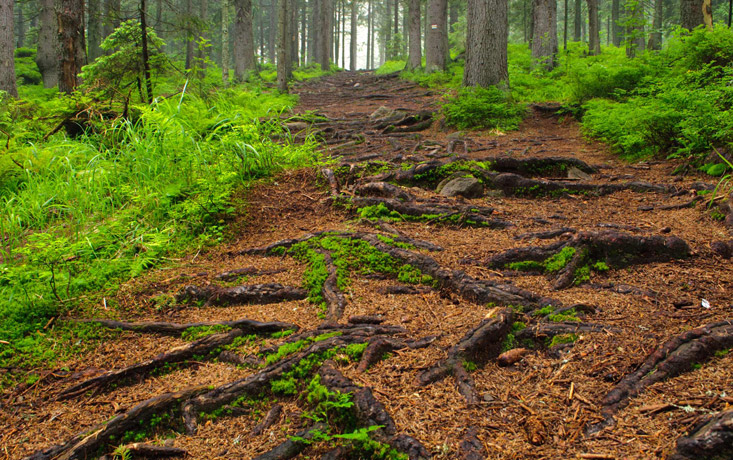 Boutique Hotel Schieferhof in Neuhaus am Rennsteig - Urlaub im Thüringer Wald - Erleben Sie abwechslungsreiche Tage im idyllischen - www.schieferhof.de