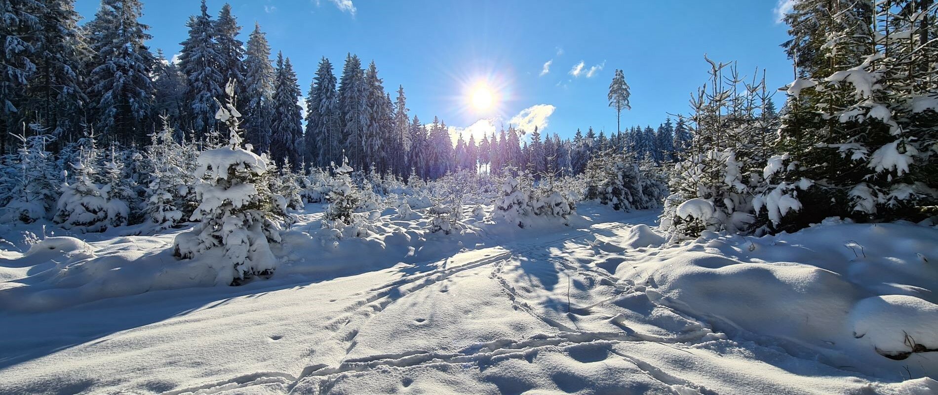 Boutique Hotel Schieferhof in Neuhaus am Rennsteig - Urlaub im Thüringer Wald - Erleben Sie abwechslungsreiche Tage im idyllischen - www.schieferhof.de