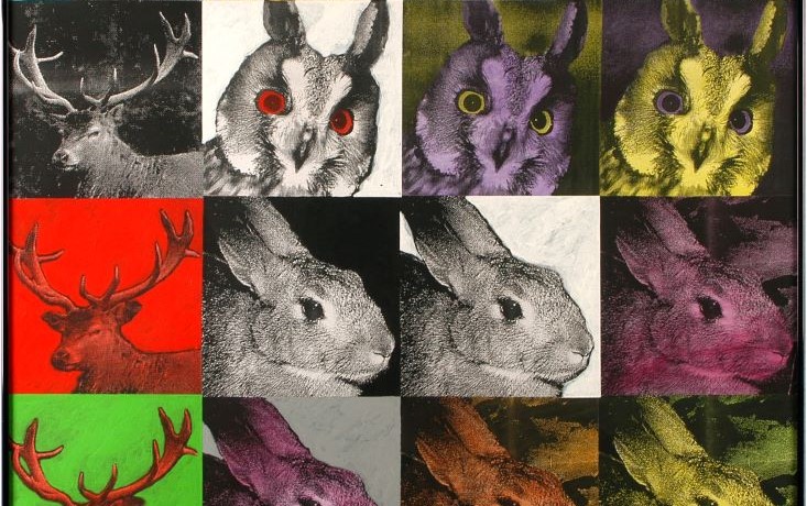 Boutique Hotel Schieferhof in Neuhaus am Rennsteig - Urlaub im Thüringer Wald - Erleben Sie abwechslungsreiche Tage im idyllischen - www.schieferhof.de